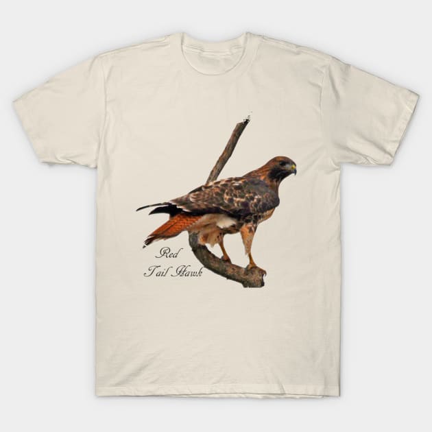 Red Tailed Hawk on Perch T-Shirt by Whisperingpeaks